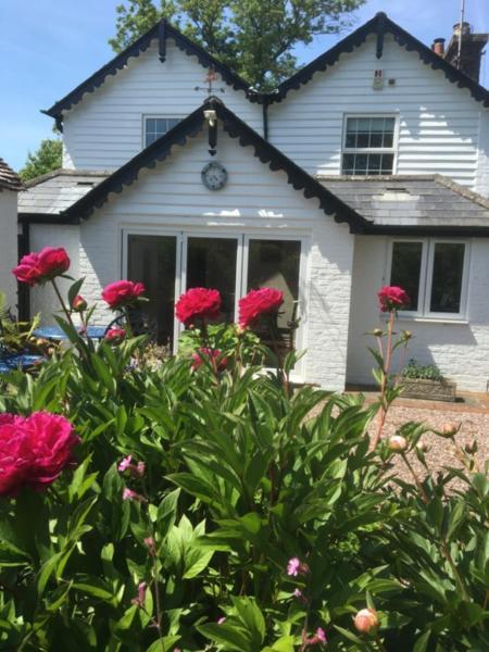 Wishing Well Cottage Wilmington  Luaran gambar